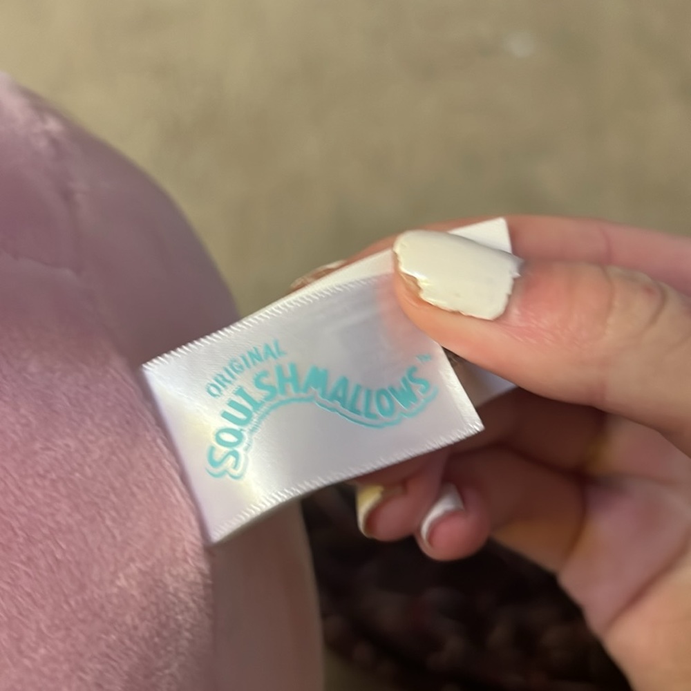 Squishmallow - Picture 3 of 3